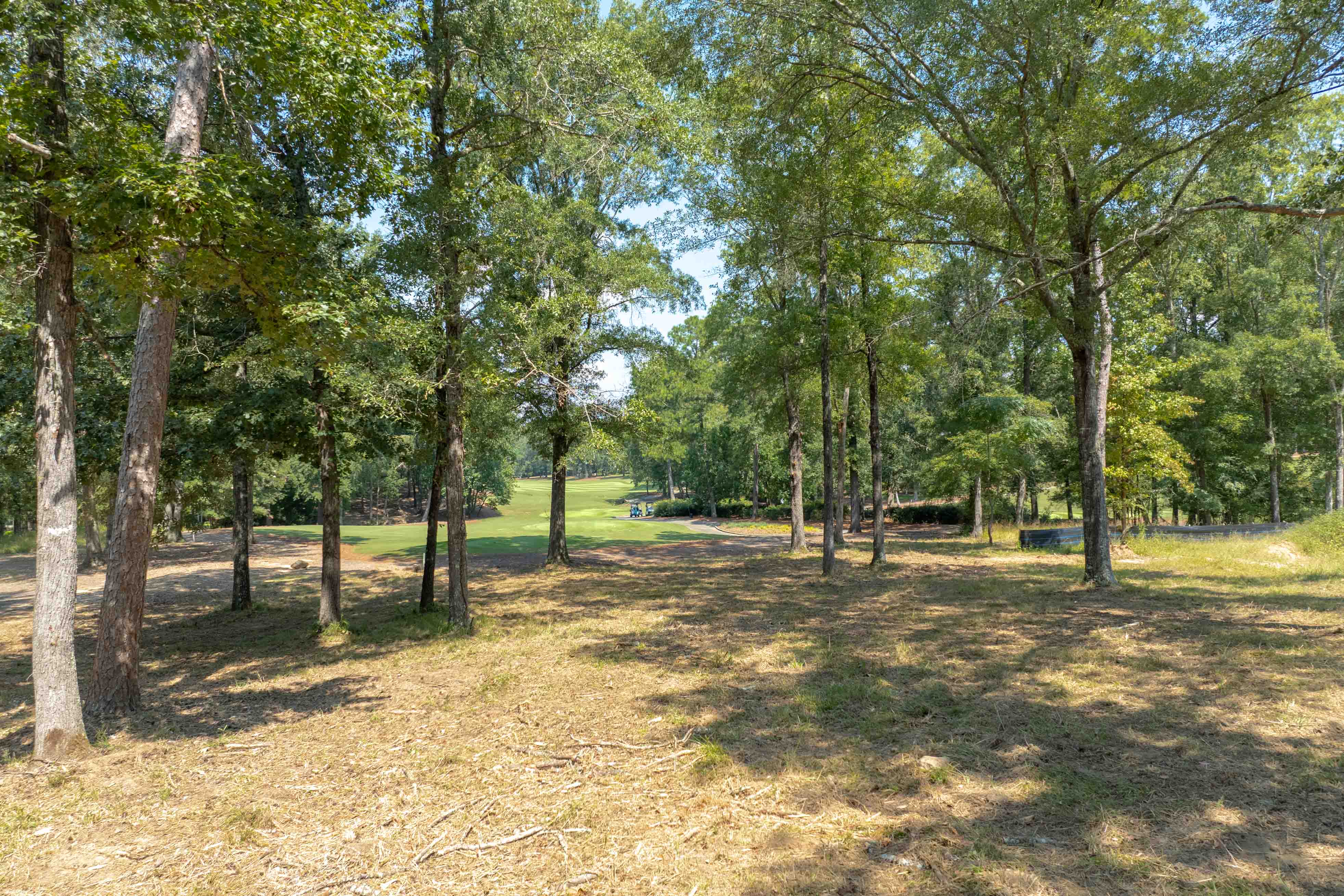 161 Broadlands Drive image 11